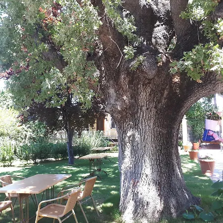 Oeren Konak Otel 2* Burhaniye